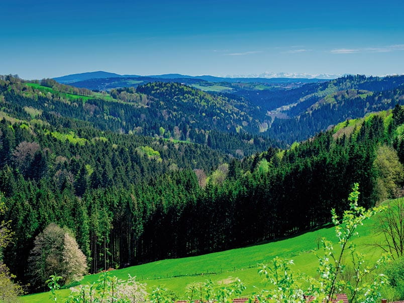 Bavarian forest scenery in the Ilz Valley, Germany